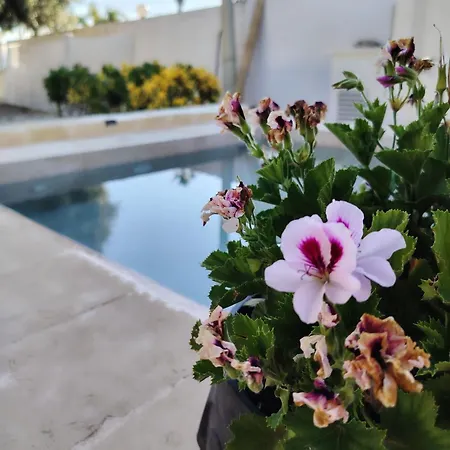 Aramara Vakantiehuis Terrauzza